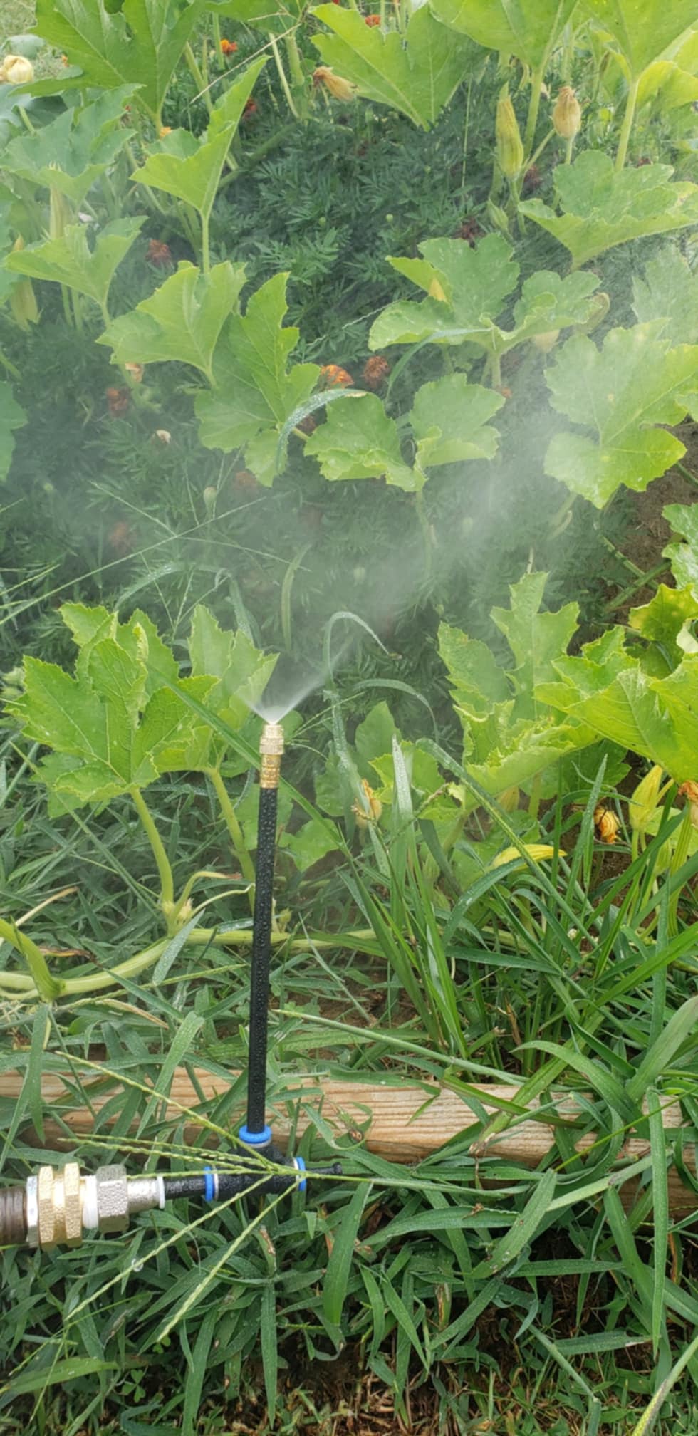 Building Up the Traditional Tilled Plots with Drip Irrigation